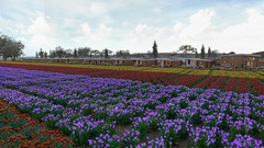 2025-10-23_21 - Photo.jpg